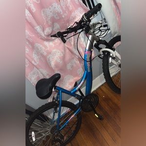 I am a selling a blue bike that I don’t need anymore.